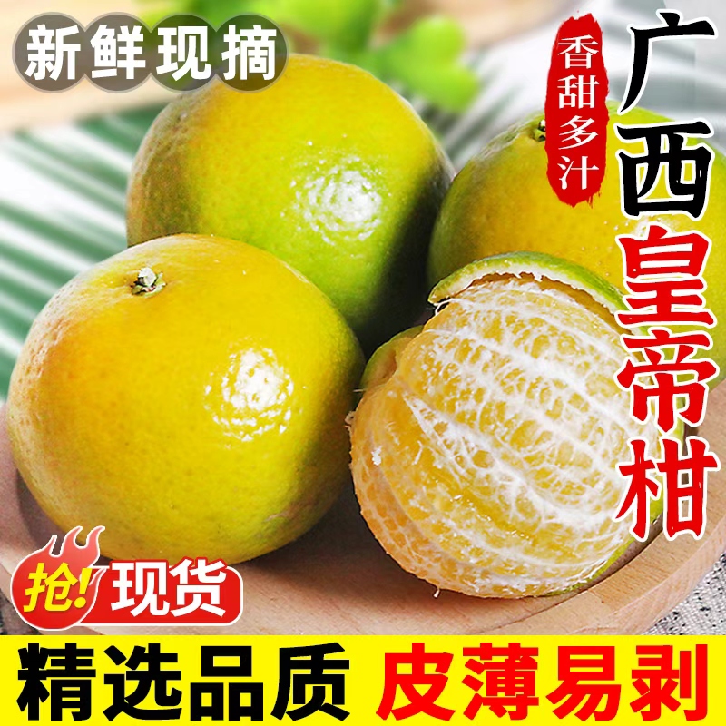 正宗广西皇帝柑新鲜橘子水果当季现摘老树大果应季贡柑时令鲜果