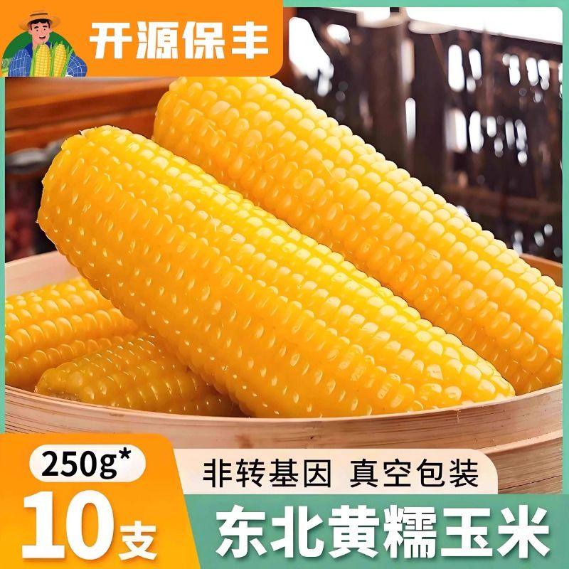 黄糯玉米5斤（250g*10根）东北甜黏鲜玉米棒真空包装早餐苞米