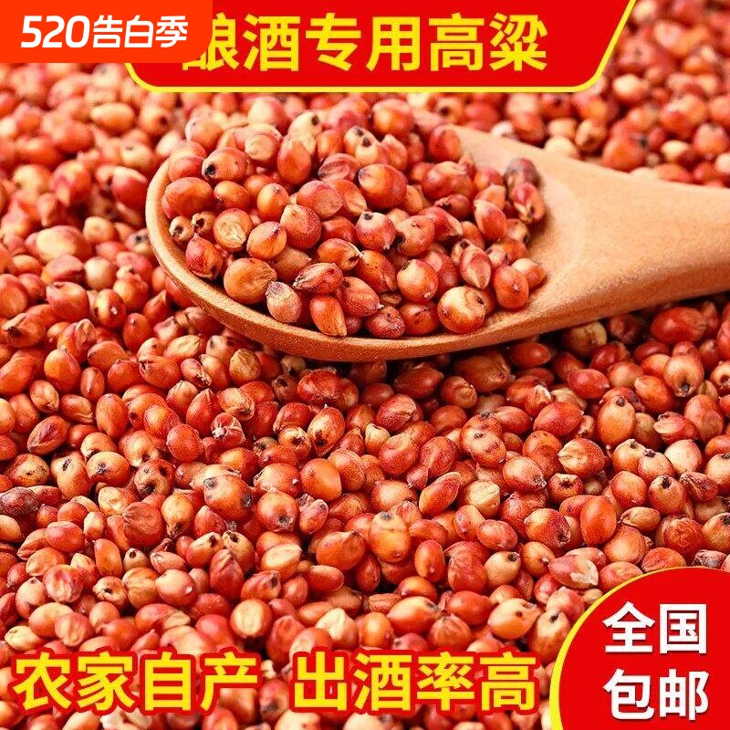 红高粱喂鸽子粮食去壳带皮鸟食信鸽观赏鸽肉鸽幼鸽成鸽粮饲料
