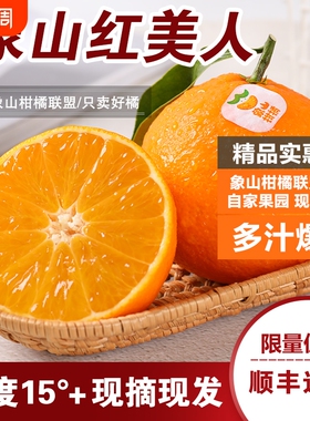 正宗象山红美人柑橘28号爱媛高端水果现摘现发新鲜采摘自产自销