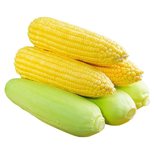 新鲜水果玉米3斤 现摘甜玉米棒子苞谷蔬菜