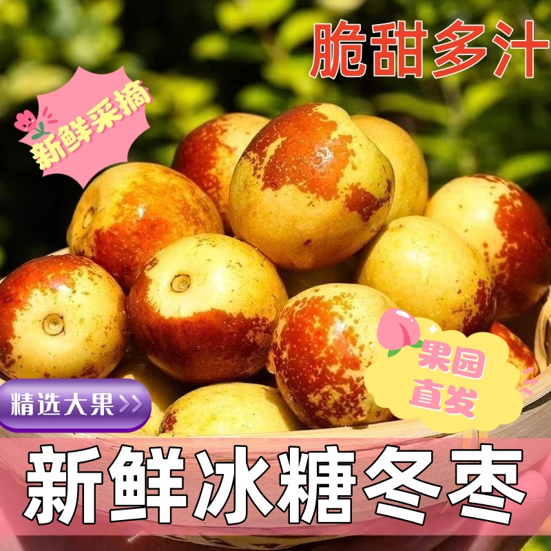 正宗冬枣脆甜新鲜大果应季整箱枣子现摘脆枣冰糖大枣5斤当季水果