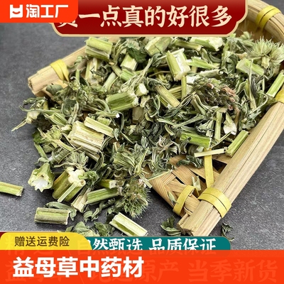 益母草中药材新鲜500克包邮泡茶水艾叶泡脚包红糖姜茶