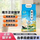 一级优质大米当季 产地现磨现发正宗长粒香猫牙米 新米10斤装