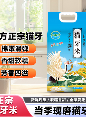 一级优质大米当季新米10斤装产地现磨现发正宗长粒香猫牙米