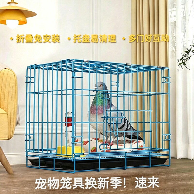 鸽子笼家用特大号养殖笼图片