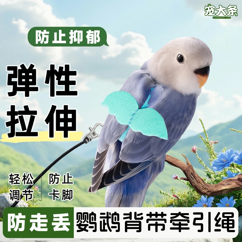 鸟用鹦鹉放飞绳玄凤虎皮牡丹牵引绳飞行外出背带遛鸟神器