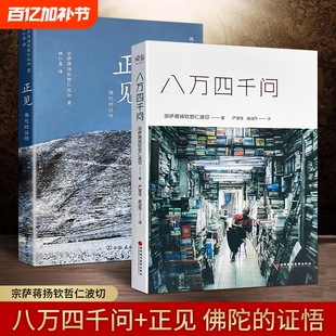全新正版八万四千问正见佛陀的证悟叩问内心的每一个不确定找到属于自己的答案都藏着认识世界的方式佛教佛法
