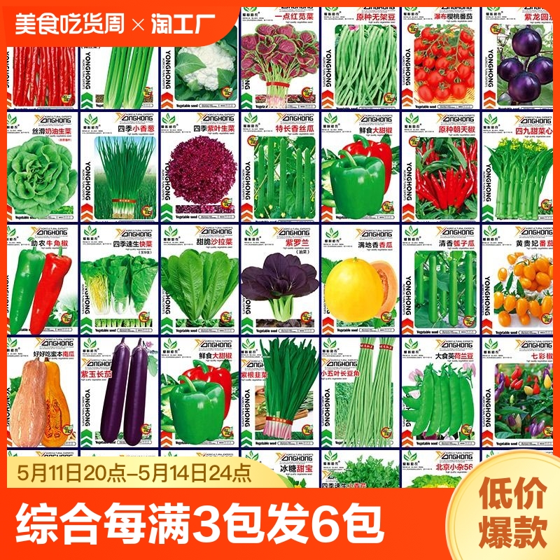 蔬菜种子四季播盆栽香菜生菜菠菜葱易种籽孑大全种植阳台特大超甜_虎窝淘