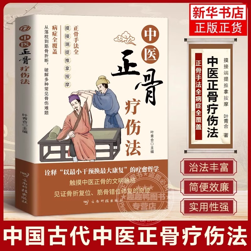 中医正骨疗伤法图解中医临床骨伤科骨外治诊疗法双桥正 关节肩关节骨折四肢关节疾病证正骨手法技巧诊疗经验医案正骨正版书籍