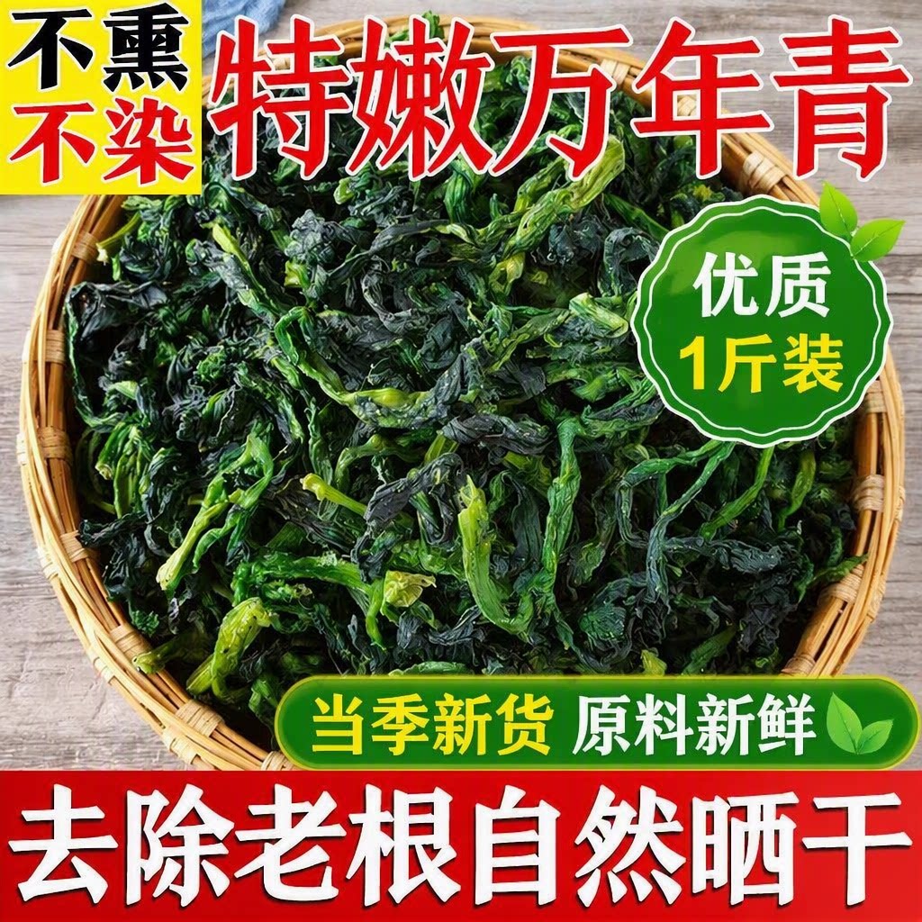 新货万年青500g干菜脱水蔬菜干青菜干橄榄菜干菜干货嫩菜心油菜干