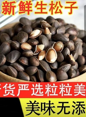 云南新鲜生松子原味大颗粒手剥松仁零食坚果2025新货松树籽