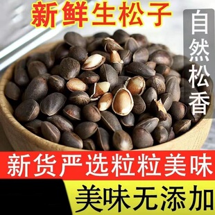 云南新鲜生松子原味大颗粒手剥松仁零食坚果2025新货松树籽