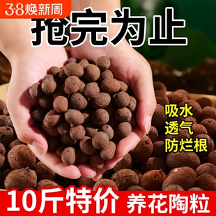 陶粒垫底养花专用多肉营养土花盆花卉回填鱼缸水培铺面石陶粒颗粒