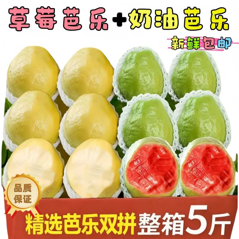 正宗软糯奶油冰淇淋白红双拼芭乐便宜番石榴新鲜水果大果包邮特级