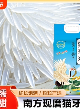 新米上市当季猫牙米长粒香大米新米丝苗香米晚稻煲仔饭蛋炒饭大米