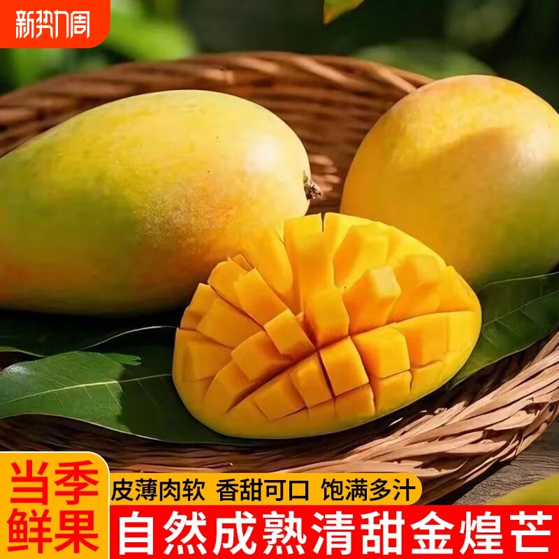 【清甜解腻】新鲜热带水果正宗金煌芒果时令采摘芒果当季鲜果整箱