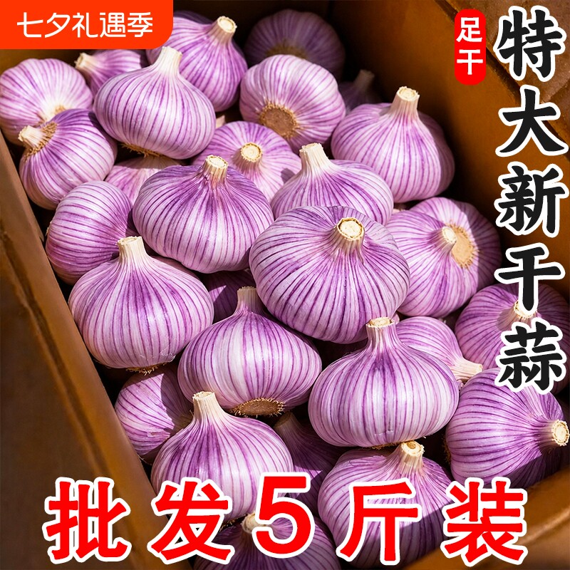 2026年金乡新干蒜头新鲜蔬菜紫皮蒜干蒜红皮蒜蒜干当季自提自种