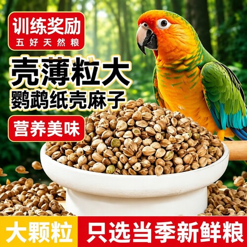 大粒纸壳麻子鹦鹉粮鹦鹉鸟粮饲料