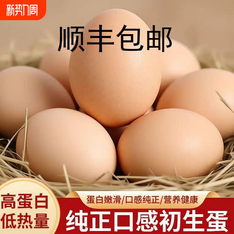 顺丰包邮正宗农家散养土鸡蛋新鲜农村谷物鸡蛋柴鸡蛋草鸡蛋鲜鸡蛋
