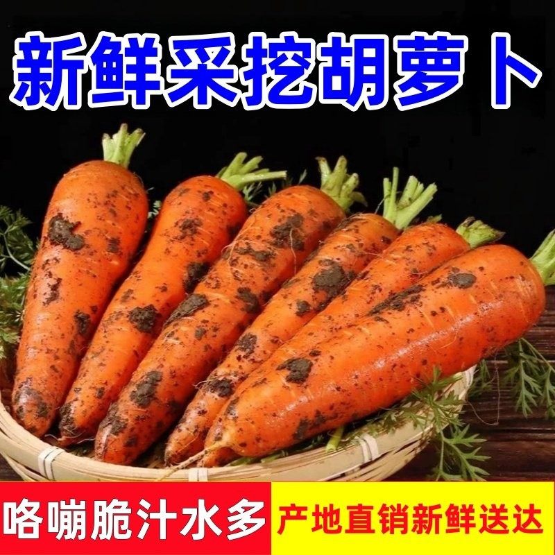 新鲜胡萝卜带泥农家自种现挖当季水果胡萝卜脆甜多汁生吃蔬菜包邮,水产肉类/新鲜蔬果/熟食,萝卜/胡萝卜,淘宝优惠券,粉丝福利购,淘宝优惠卷