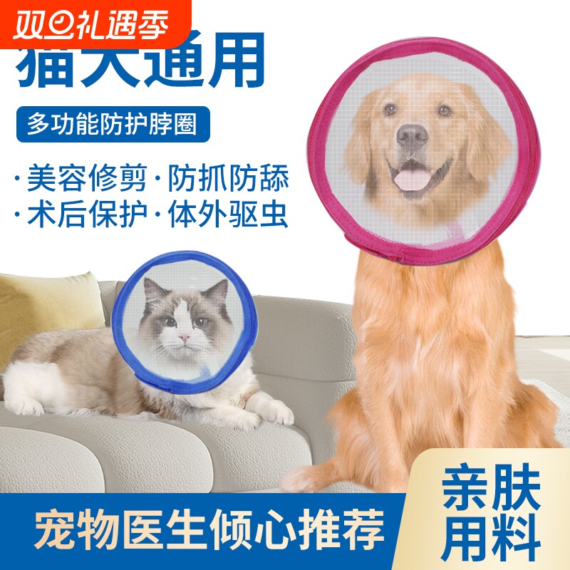 z彩色边伊丽莎白圈宠物防护圈猫咪项圈猫狗美容罩防咬防舔耻辱圈