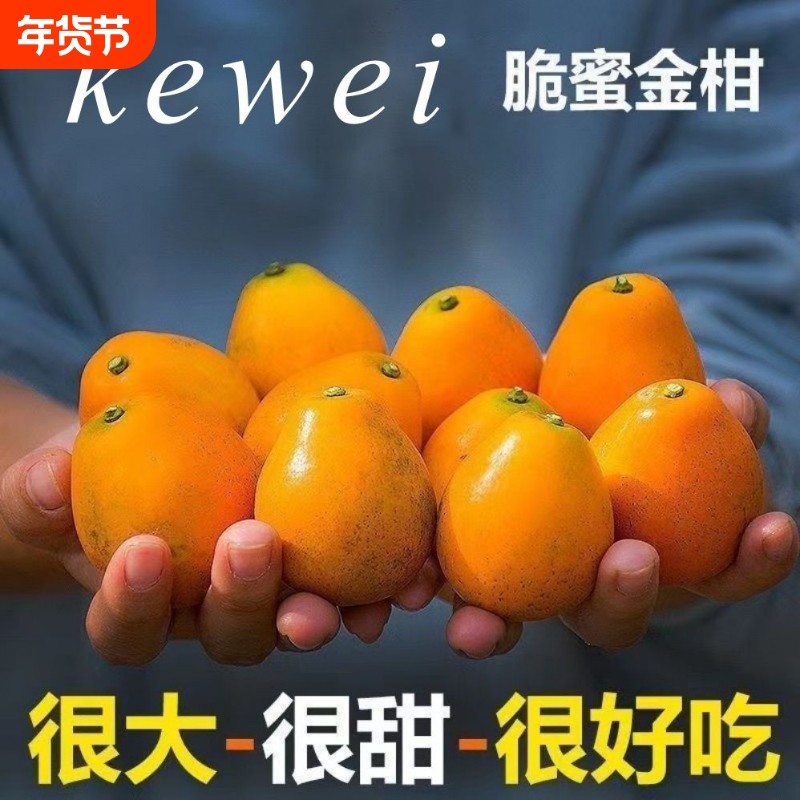 脆蜜果王广西融安金柑第三代金桔新鲜水果整箱现摘脆甜礼盒装蜜金,水产肉类/新鲜蔬果/熟食,桔子,淘宝优惠券,粉丝福利购,淘宝优惠卷