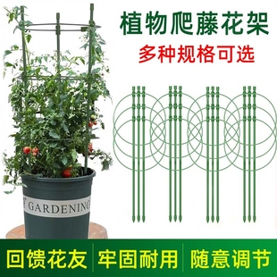 可调节爬藤花架球兰蟹爪兰月季 花攀爬支架园艺花卉绿萝植物支撑杆