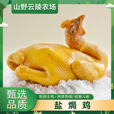 山野云陵农场广式盐焗鸡750g*2袋整只土鸡白斩咸水熟食特产小吃