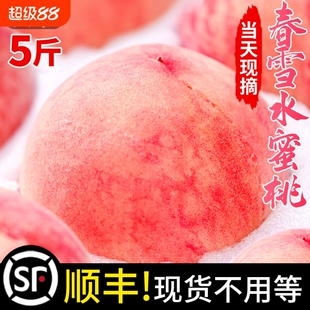 顺丰春雪水蜜桃当季5斤新鲜水果整箱包邮孕妇脆桃毛桃冬桃子现货
