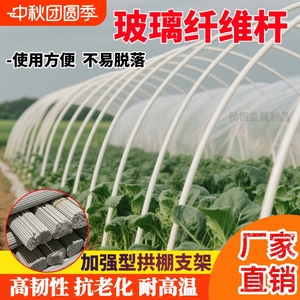 新型小拱棚支架实心玻璃纤维杆棒大棚支架拱杆骨架农家用菜棚支架