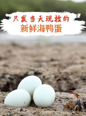 新鲜正宗生海鸭蛋散养红心流油咸鸭蛋的原料可腌制可炒可蒸鲜鸭蛋
