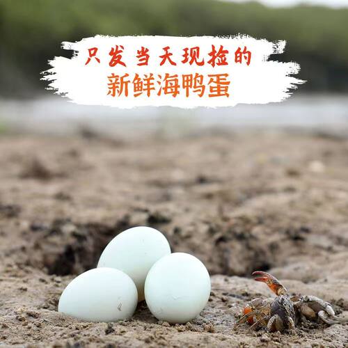 新鲜正宗生海鸭蛋散养红心流油咸鸭蛋的原料可腌制可炒可蒸鲜鸭蛋
