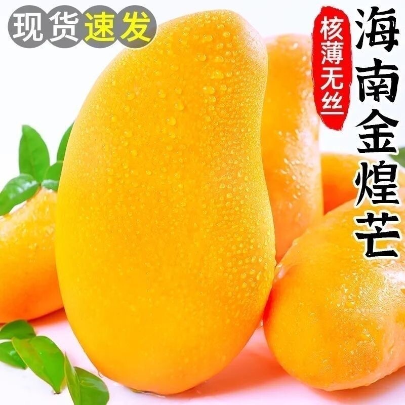 海南金煌芒芒果甜心芒新鲜热带芒果水果8分树上熟特大彩虹芒现摘