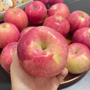 正宗甘肃静宁苹果红富士水果脆甜冰糖心整箱批发时令当季新鲜水果