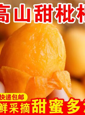 【顺丰包邮】四川攀枝花米易枇杷高山老树甜枇杷精选大果50g5斤装