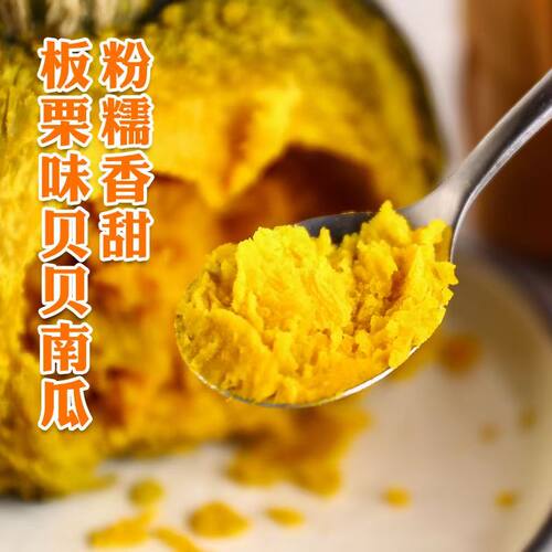 贝贝南瓜板栗味粉糯香甜新鲜粗粮礼盒装辅食原产代餐