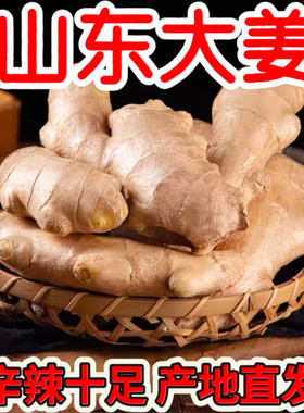 山东大姜生姜老姜风干姜新鲜老黄姜1斤3斤5斤包邮农场当季食用