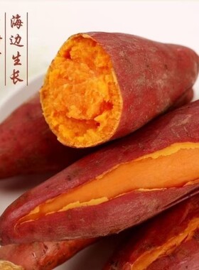 黄心番薯红薯新鲜沙地