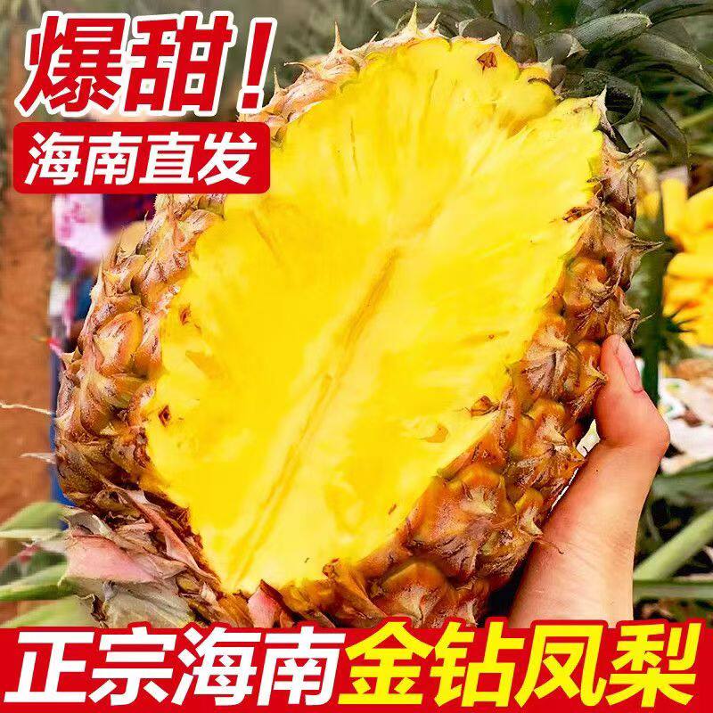 海南金钻凤梨新鲜水果台农17号当季应季正宗一级菠萝手撕特产