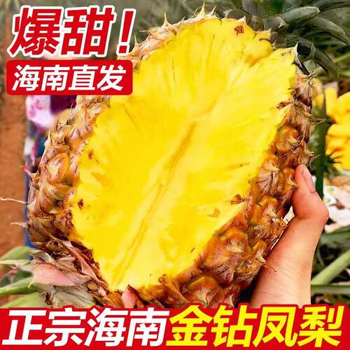 正宗海南金钻凤梨菠萝水果新鲜凤梨包邮鲜发大果