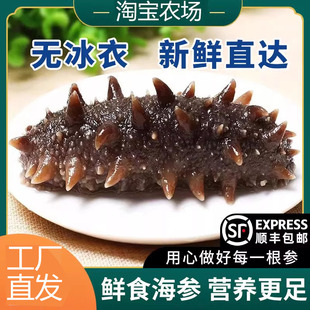 辽宁大连即食海参包装袋一斤开袋即食真空袋独立包装野生刺参