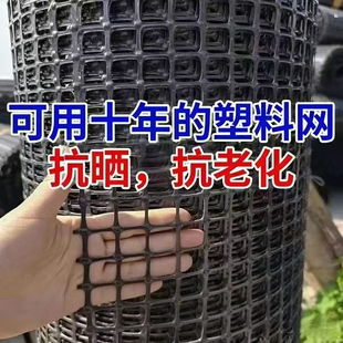 养鸡养鸭网塑料围栏网防护网养鸡围栏网果园圈地隔离网格栅养殖网