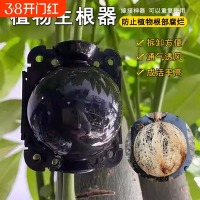 植物高压嫁接盒繁殖控根器扦插高压包生根盒枝繁殖球生根繁殖器