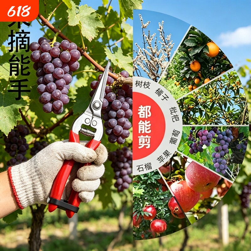 不锈钢摘果剪园艺剪刀修枝剪葡萄火龙果剪采摘花椒神器专用剪