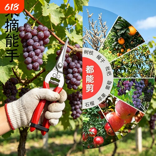 不锈钢摘果剪园艺剪刀修枝剪葡萄火龙果剪采摘花椒神器专用剪