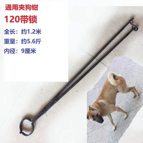 夹狗钳子捕犬抓狗逮狗工