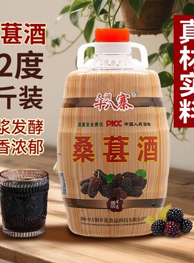 久洞十八寨湖南桑葚酒桶装12度