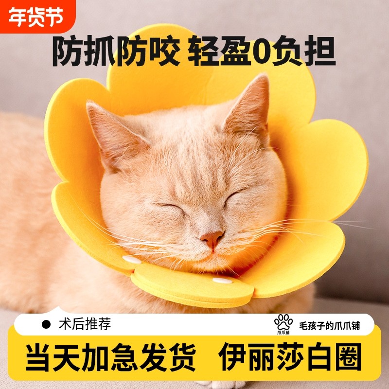 伊丽莎白圈猫咪绝育项圈圈防舔颈圈头套狗狗脖圈宠物用品防咬,宠物/宠物食品及用品,宠物伊丽莎白圈,淘宝优惠券,粉丝福利购,淘宝优惠卷