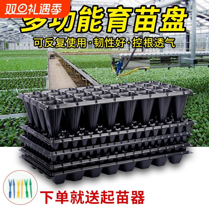 育苗盘穴盘塑料杯种植神器育苗盆玉米扦插发芽豆芽草莓播种阳台